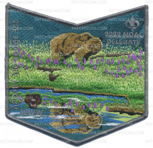Patch Scan of Apoxky Aio 300 2022 NOAC spring pocket patch