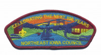 Northeast Iowa CSP 100 Years Northeast Iowa Council #178