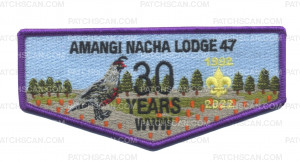 Patch Scan of Amangi Nacha Lodge 30 Years Flap (Purple)
