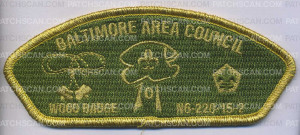 Patch Scan of AR0177D-G - BAC Wood Badge 4 Bead