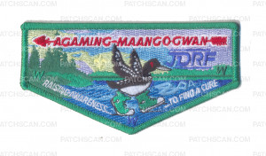 Patch Scan of K124269 - WATER & WOODS FS COUNCIL - RAISING AWARENESS TO FIND A CURE AGAMING MAANGOGWAN (GREEN)