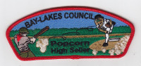 Popcorn High Seller 2013 CSP  Bay Lakes Council #635