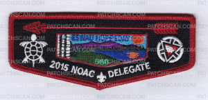 Patch Scan of Eswau Huppeday Delegate 2015