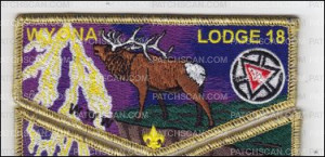 Patch Scan of Wyona Lodge Back in Black NOAC 2015 Delagate Flap Gold