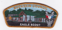 Eagle Scout CSP Buckskin Council #617