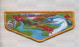 Patch Scan of AR0049 E-1-AHC NOAC Flap