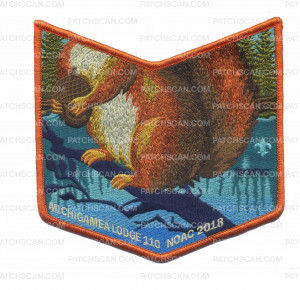 Patch Scan of Michigamea Lodge 110 NOAC 2018 pocket patch
