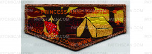 Patch Scan of Fall Flap (PO 101533)