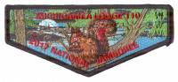 Michigamea Lodge 110 2017 National Jamboree Pathway to Adventure Council #