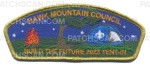 Patch Scan of Tent In 2022 CSP (Gold metallic)