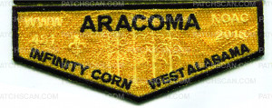 Patch Scan of Aracoma NOAC 2018 flap