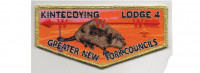 100th Anniversary Flap   Greater New York Councils