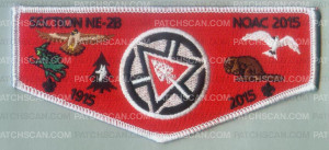 Patch Scan of CENTURIES OF SERVICE FLAP NE-2B