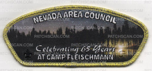 Patch Scan of Camp Fleischmann 65th CSP GOLD