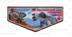 Patch Scan of Pachsegink 246 2017 National Jamboree Flap Brown Border