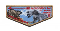 Pachsegink 246 2017 National Jamboree Flap Brown Border Pathway to Adventure Council #