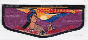 Patch Scan of 2020 NOAC Fundraiser Mountain Sunset Flap