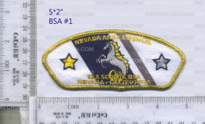 Patch Scan of 442003 A Sea Scout