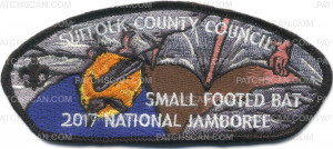 Patch Scan of P23885_Gold D 2017 Suffolk County Jamboree
