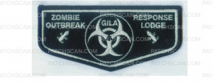 Patch Scan of Zombie Outbreak Lodge Flap (85313)
