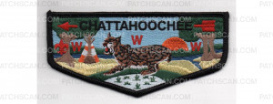 Patch Scan of Lodge Flap (PO 87652r2)