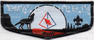 Patch Scan of PRISM FLAP