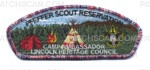 Patch Scan of Pfeffer Scout Reservation 