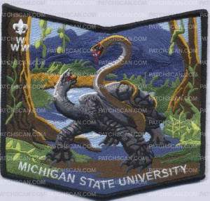 Patch Scan of 390313 MICHIGAN