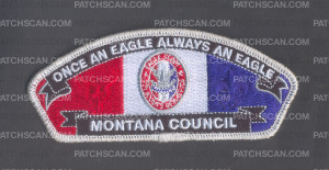 Patch Scan of Eagle CSP w/ Foam
