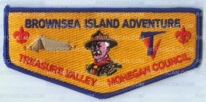 Patch Scan of BROWN SEA ISLAND OA FLAP