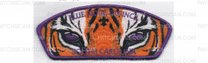 Patch Scan of FOS CSP Tiger (PO 86312)