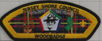 373818 JERSEY SHORE Jersey Shore Council #341