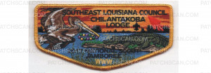 Patch Scan of Jamboree Lodge Flap (PO 86975)