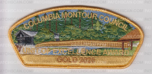 Patch Scan of Unit Excellence Award 2020 - Gold