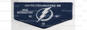 Patch Scan of 2020 Momentum Flap (PO 98324)