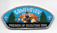GAMEHAVEN COUNCIL CPS FOS 2020  Gamehaven Council #299