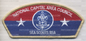 Patch Scan of Sea Scouts BSA Tan