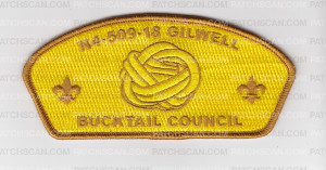 Patch Scan of Wood Badge Course N4-509-18 Woogle