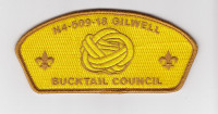 Wood Badge Course N4-509-18 Woogle Bucktail Council #509