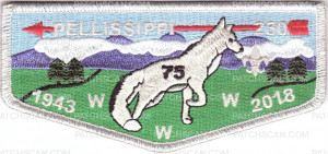 Patch Scan of Pellissippi 230 "75th" Anniversary Flap