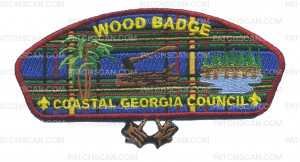 Patch Scan of WOODBADGE