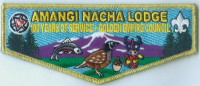 AMANGI NACHA 100TH ANNIV METALLIC GOLD Golden Empire Council #47