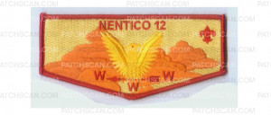 Patch Scan of Nentico NOAC flap (84655)