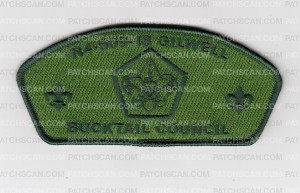 Patch Scan of Wood Badge Course N4-509-18 Pentagon CSP