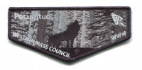 Pocumtuc Western Mass Council Western Massachusetts Council #234