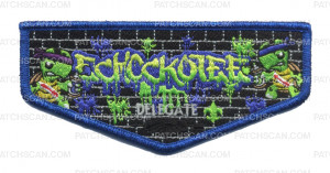 Patch Scan of Echockotee Lodge- Delegate Flap