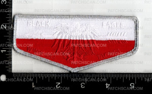 Patch Scan of 162139-Poland  