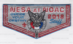 Patch Scan of NESA AT NOAC STAFF PATCH