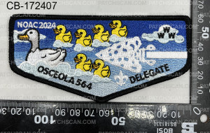 Patch Scan of 172407-Flap