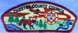 Patch Scan of Chester County Council CSP